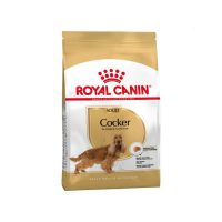 royal-canin-cocker-adult-3kg