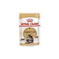 royal-canin-feline-maine-coon-85gr