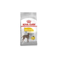 royal-canin-maxi-dermacomfort-12kg