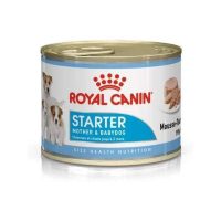 royal-canin-starter-mousse-195gr