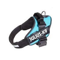 idc-powerharness-size-1-aquamarine